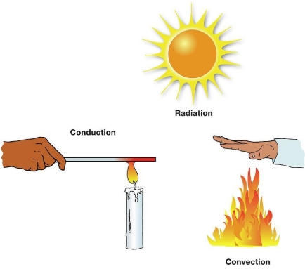 ऊष्मा (Heat) 