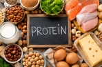 protein