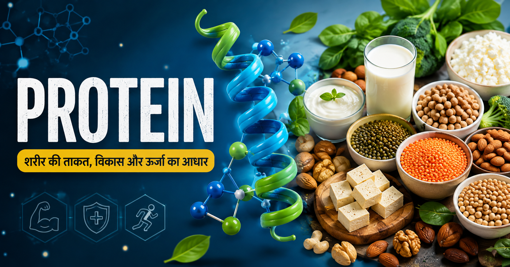 protein